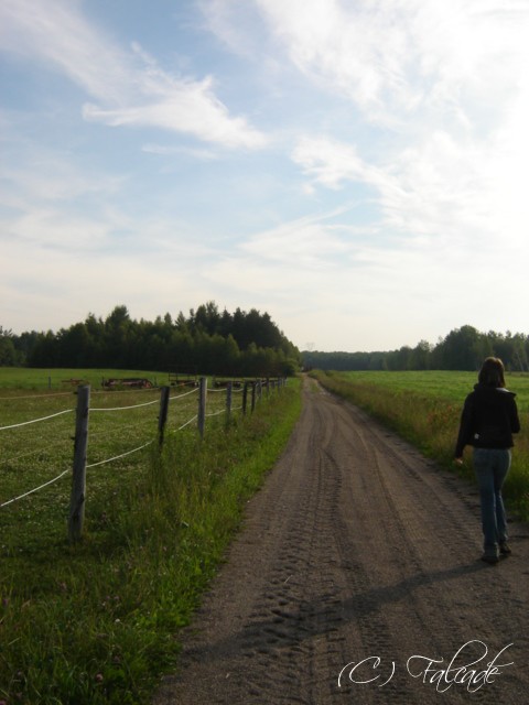 Tout droit, le chemin du paradis