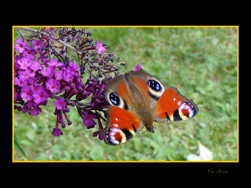 Tout en couleur !