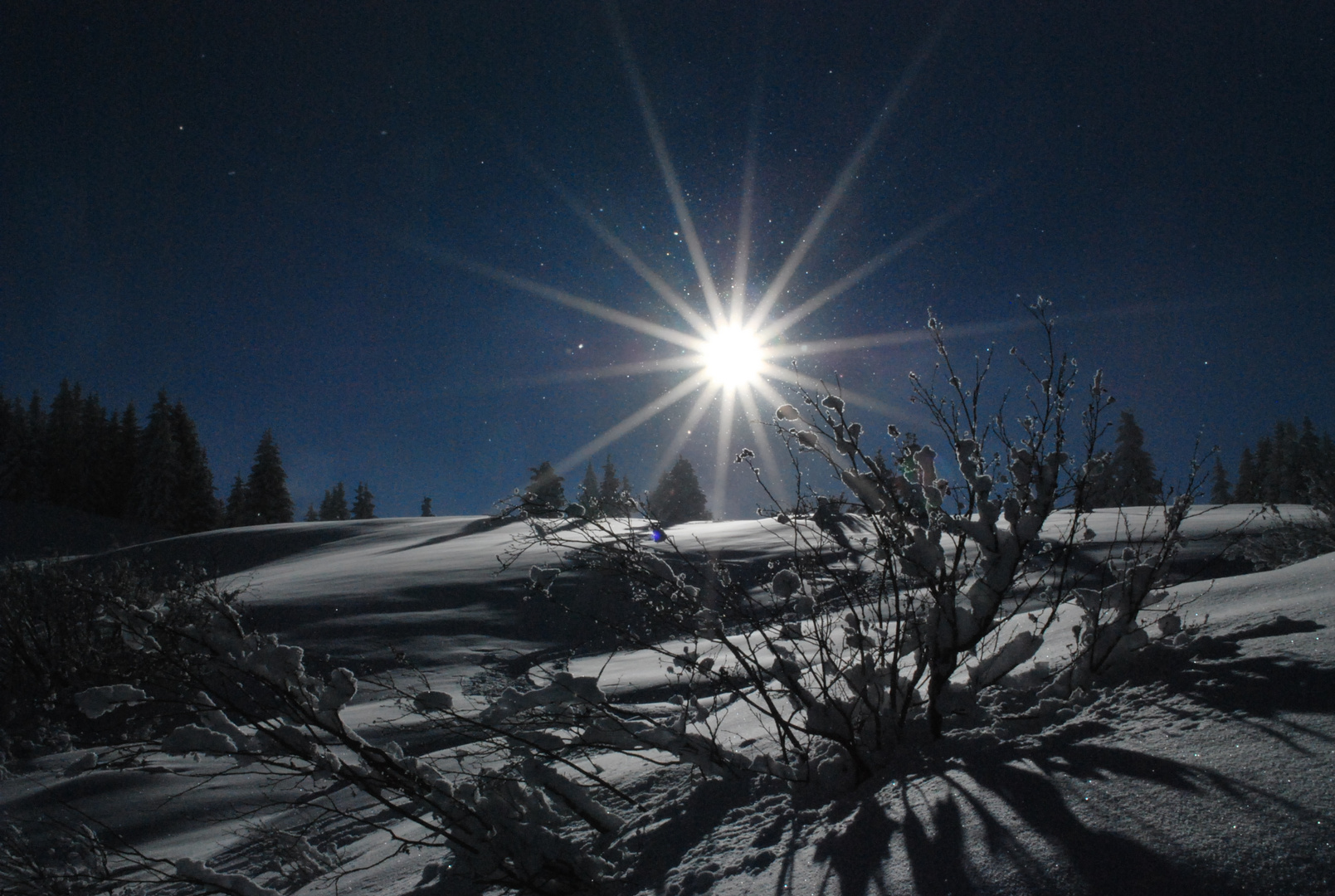 Tout est blanc, sauf le ciel.