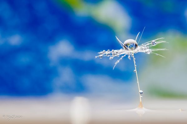 Tout est question de point de vue !