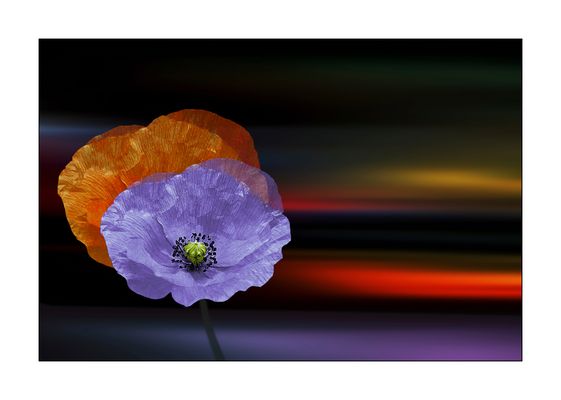 Tout est tellement éphémère