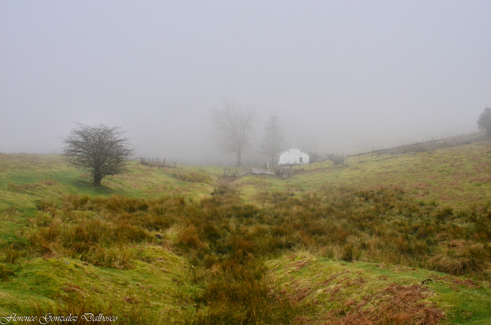 Tout la haut au pays Basque.