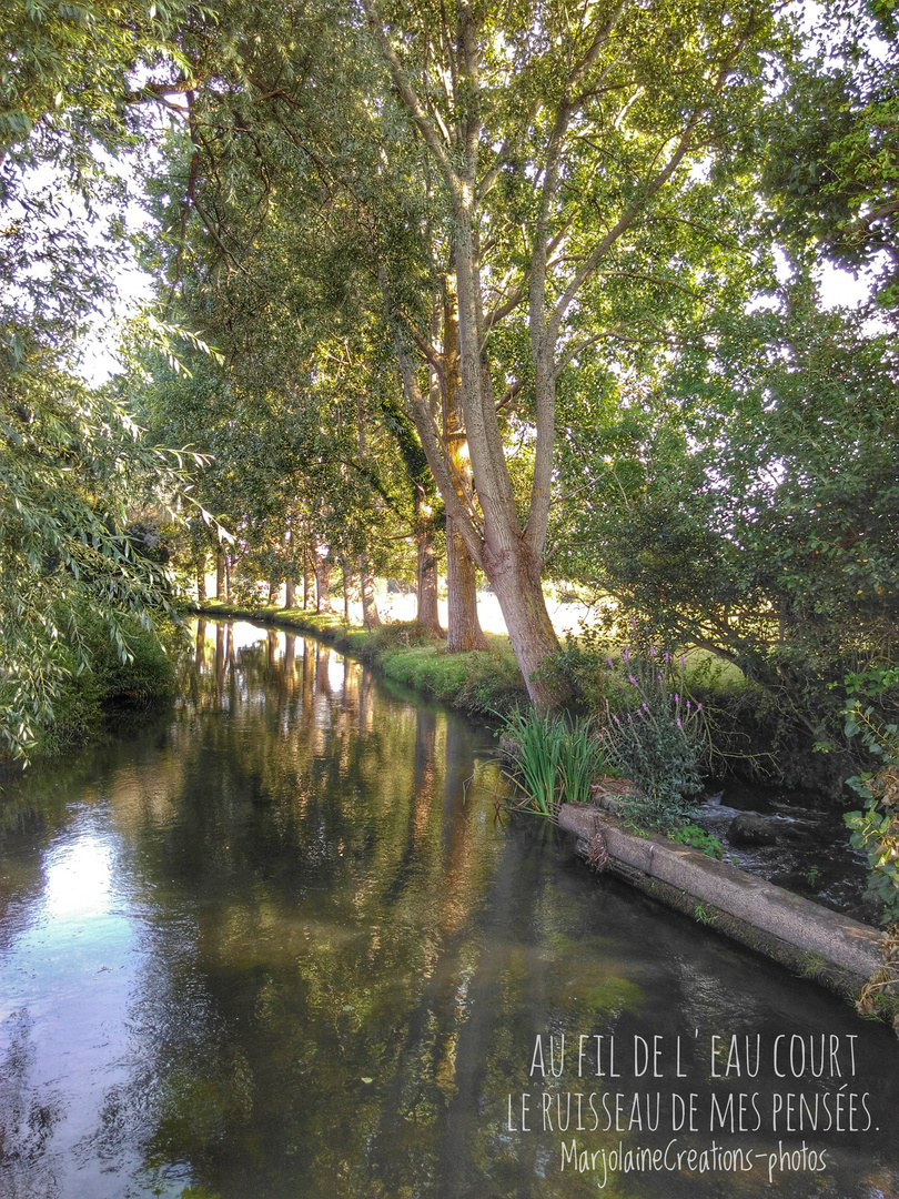 Tout le long de l'eau.