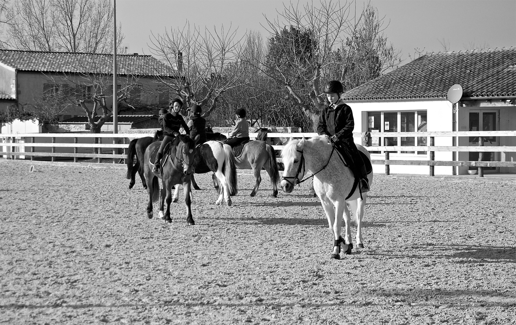 Tout les chevaux ne sont pas de bois.