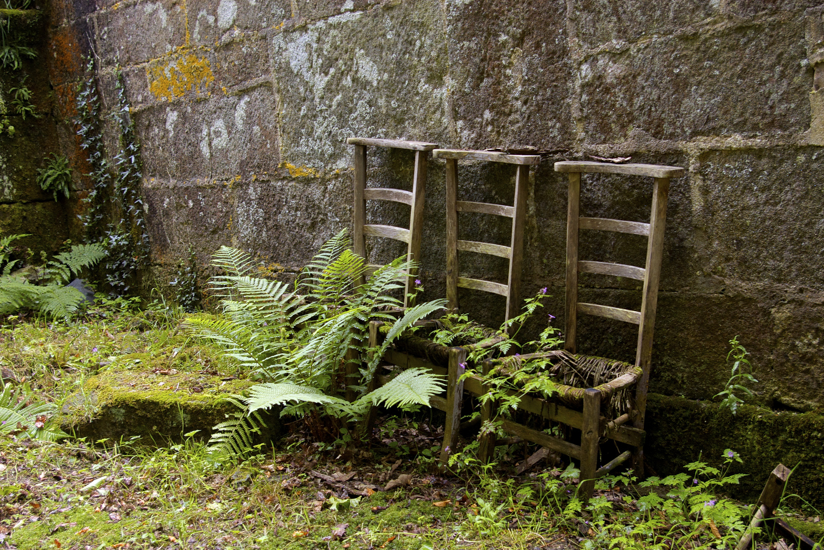 Tout vient de la nature, tout retourne à la nature !