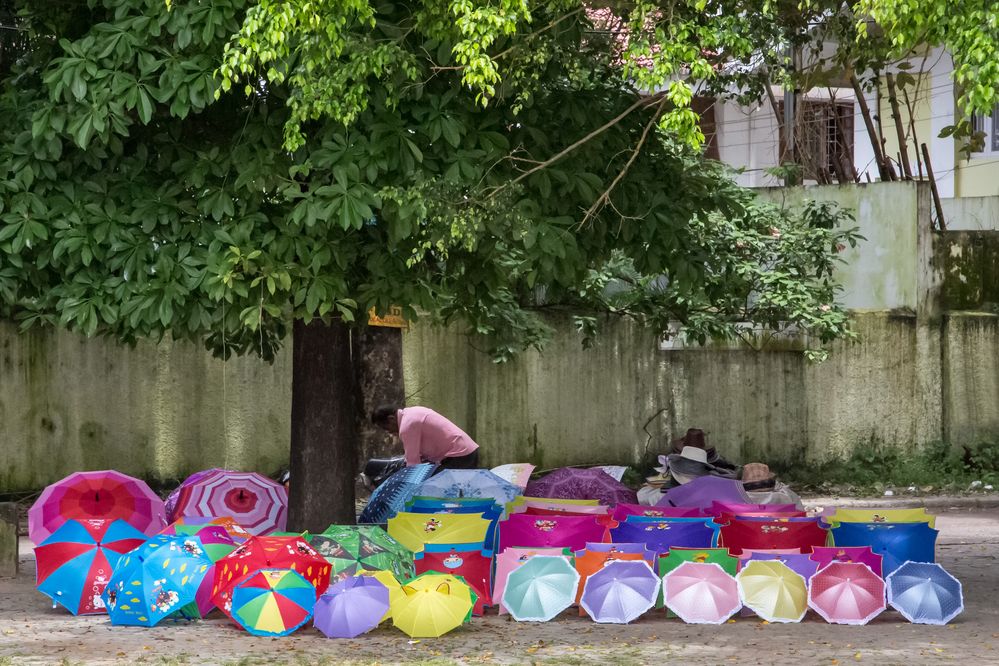 Toutes les couleurs de l'Inde