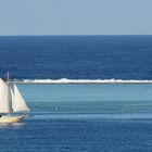 toutes voiles dehors -