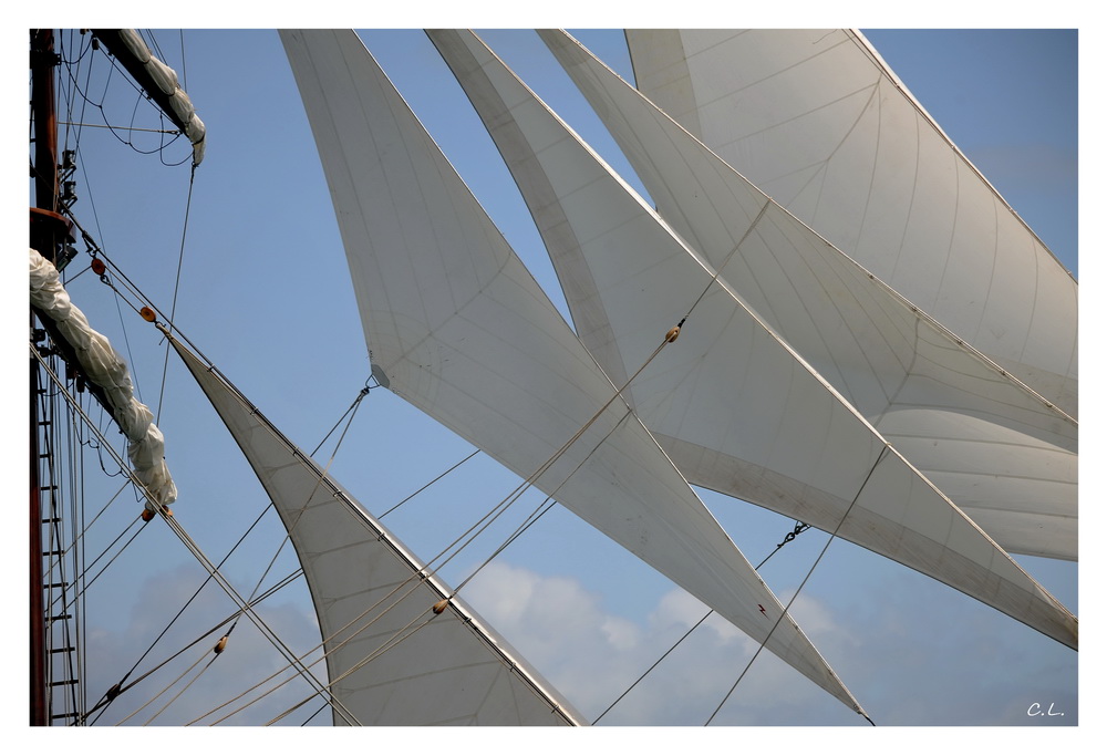 Toutes voiles dehors