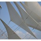 Toutes voiles dehors