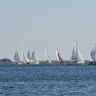 toutes voiles dehors