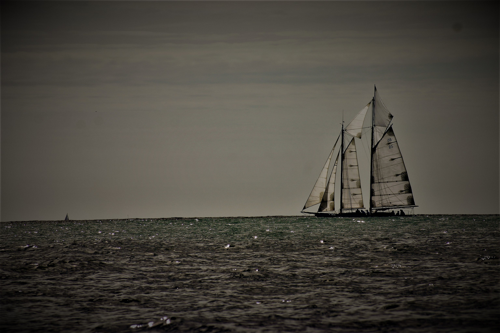 toutes voiles dehors