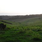 Towards the lost village of Witcombe