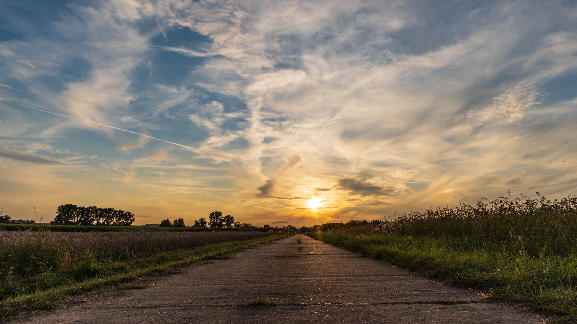 Towards the sunset