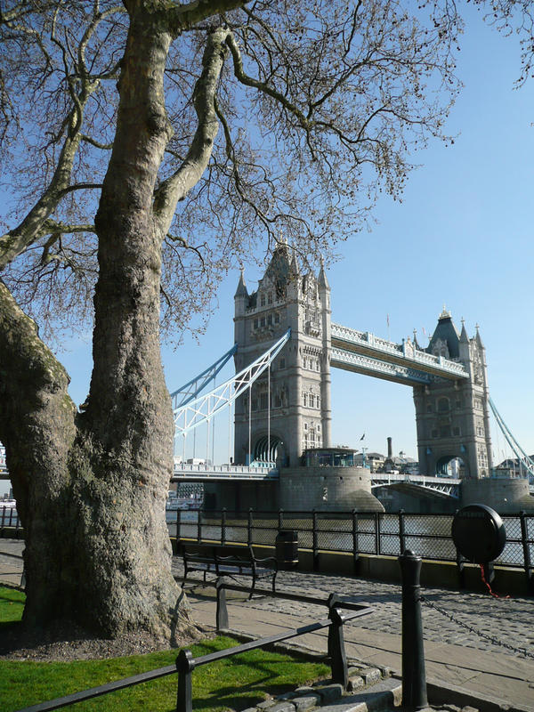 Tower Bridge