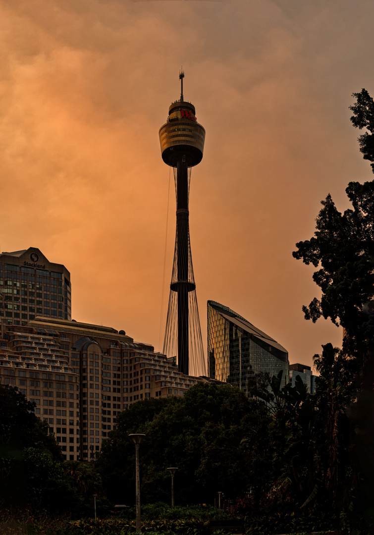 Tower Eye in Sydney