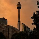 Tower Eye in Sydney