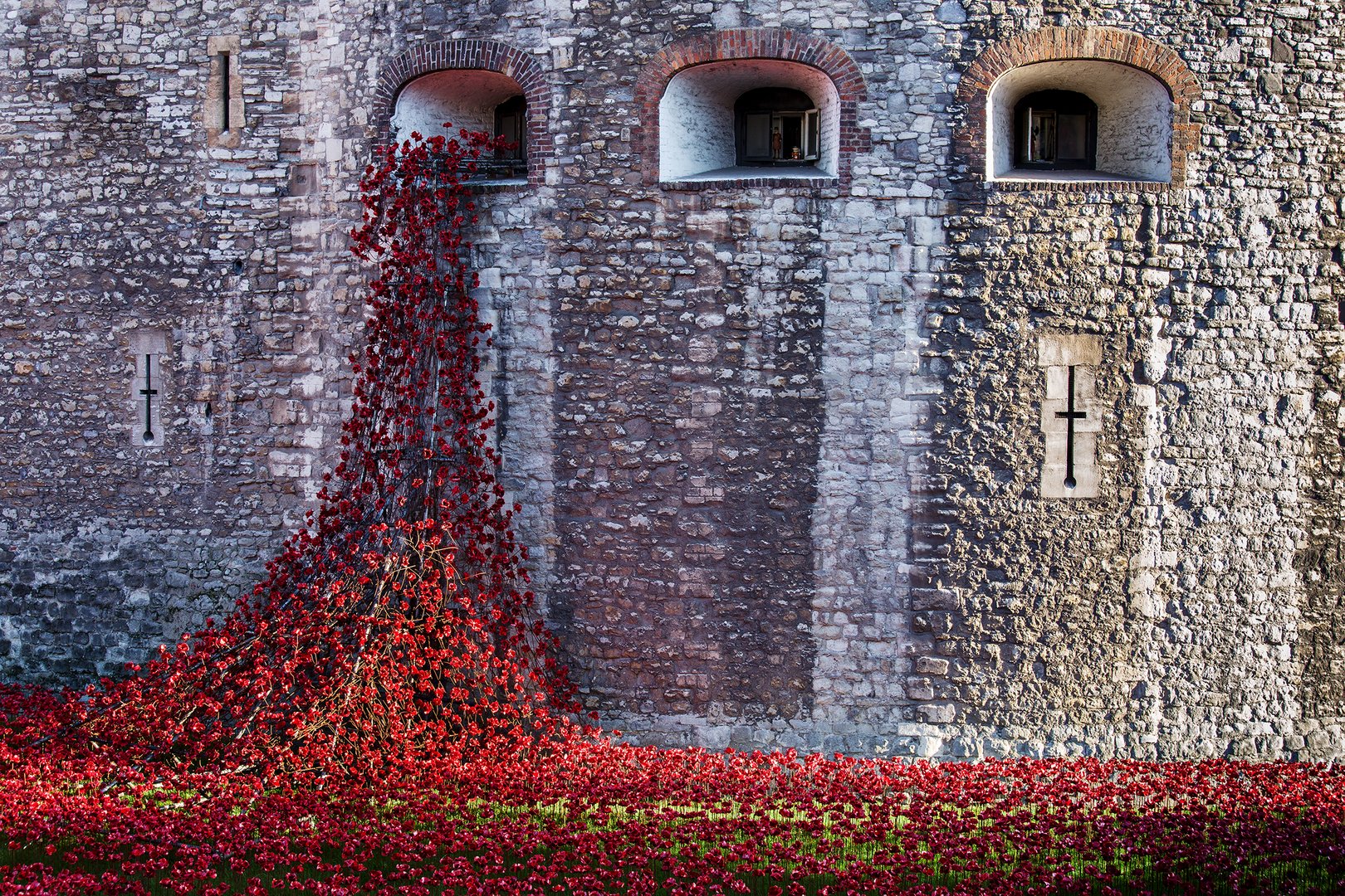 Tower Flowers