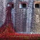 Tower Flowers