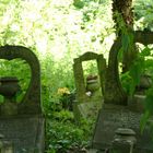 Tower Hamlets Cemetery