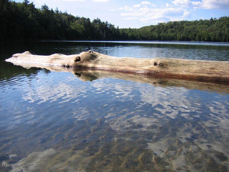 Tower Lake