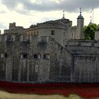 Tower of London 2014