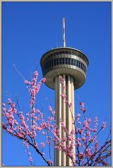 Tower of the Americas II