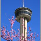 Tower of the Americas II