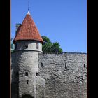 Tower of the Town Wall