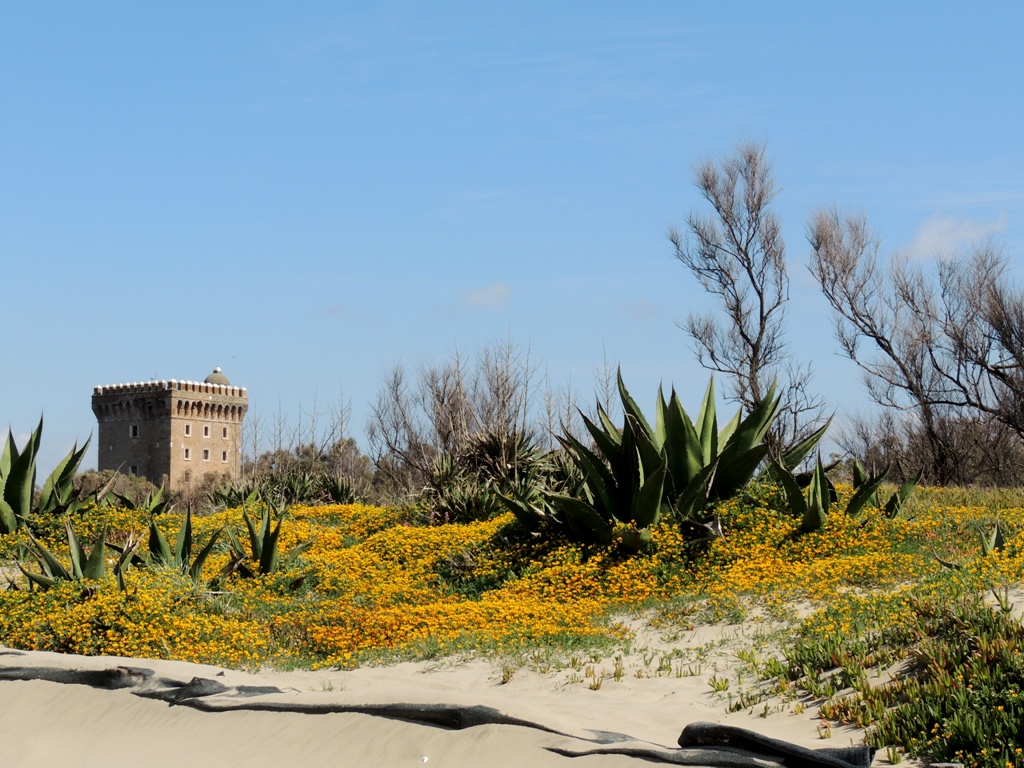 Tower on the beach