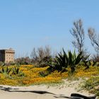 Tower on the beach