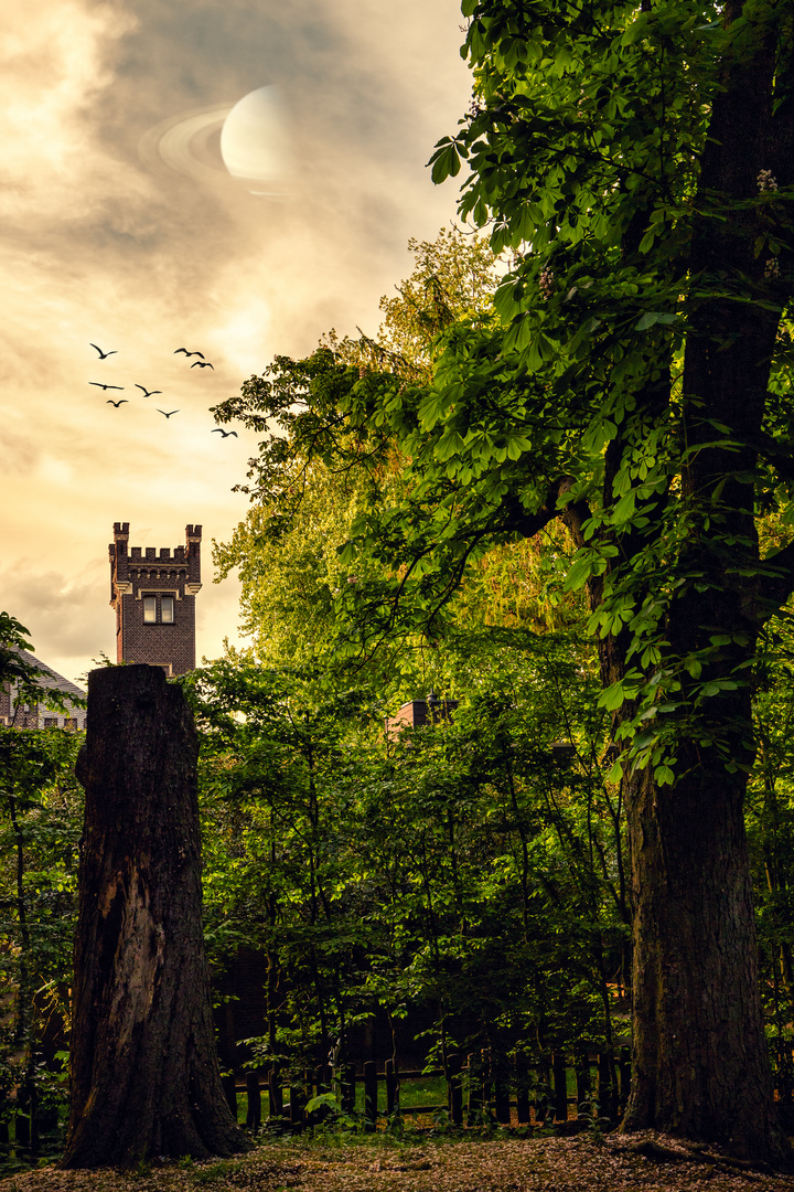 Tower over tree