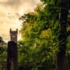 Tower over tree