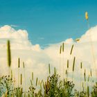 TOWERING CLOUDS