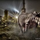 Townsfolk - Rhino