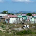Township in Südafrika