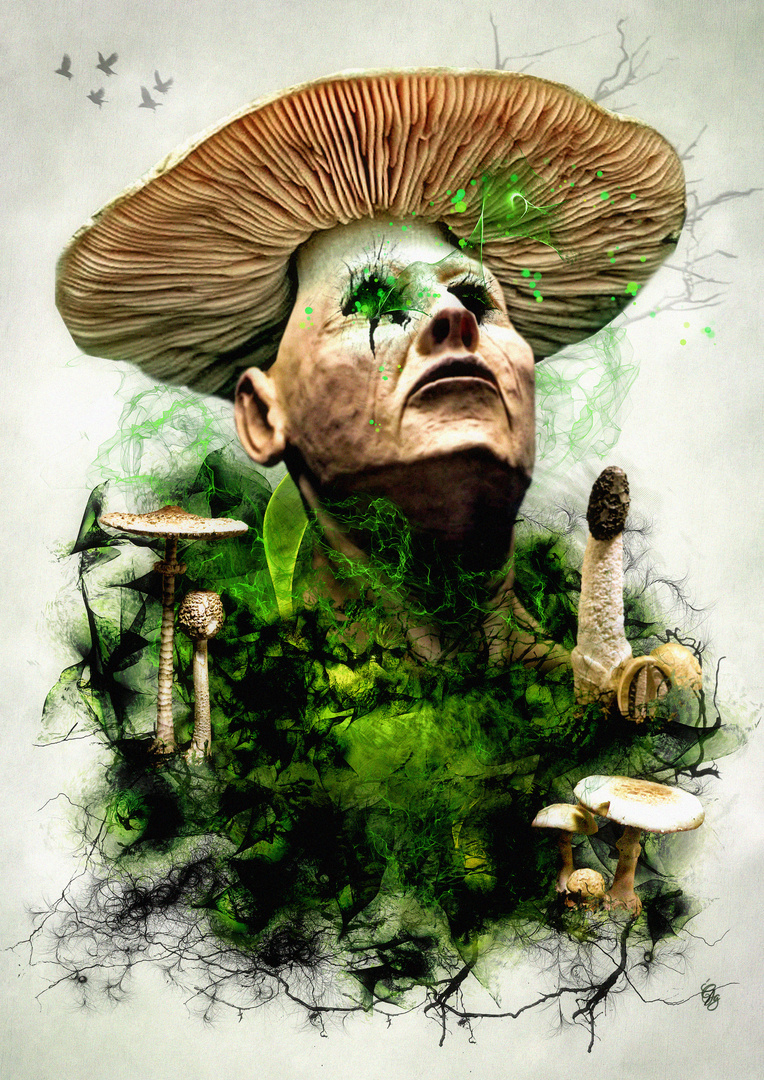 Toxic Mushroom