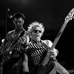 Toy Dolls II