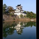 Toyama castle