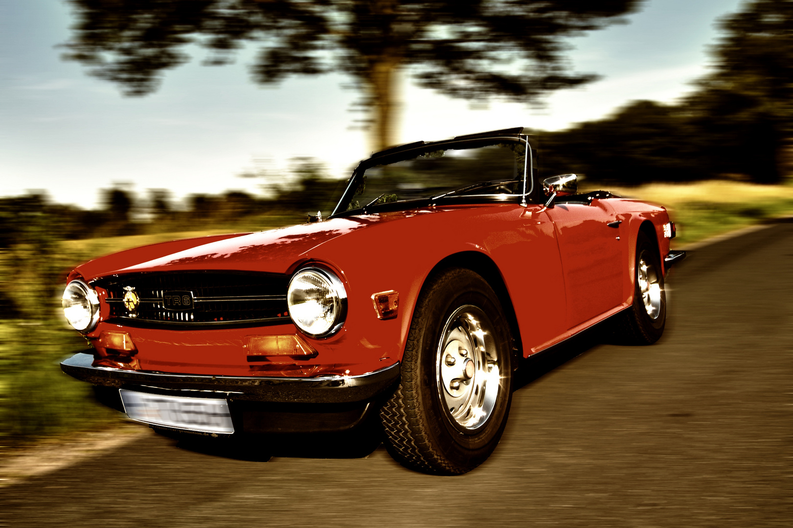 TR 6