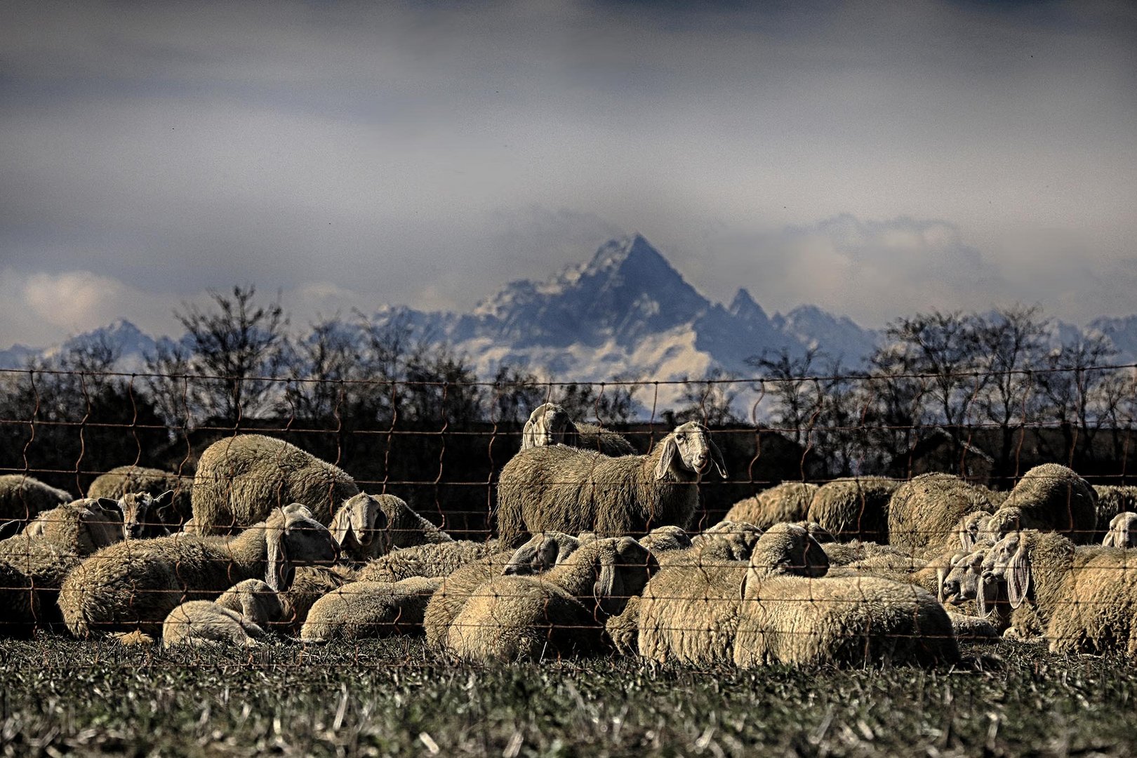 tra Alessandria ed il Monviso