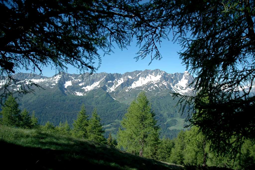 Tra bosco e cielo 2