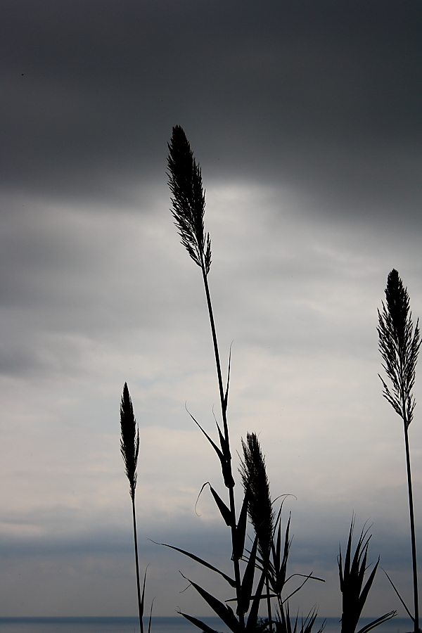 tra cielo e mare