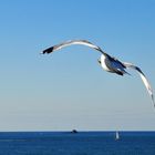 Tra cielo e mare