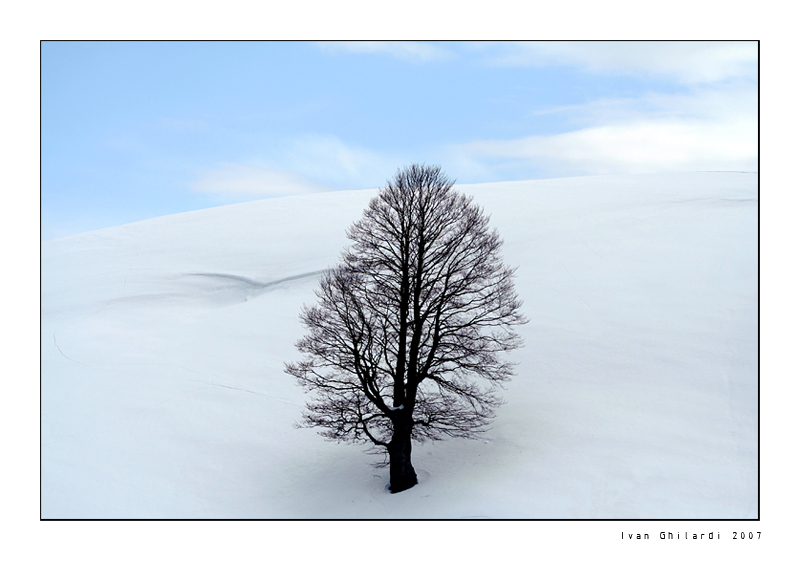 Tra cielo e terra