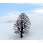 Tra cielo e terra