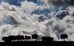 Tra cielo e terra