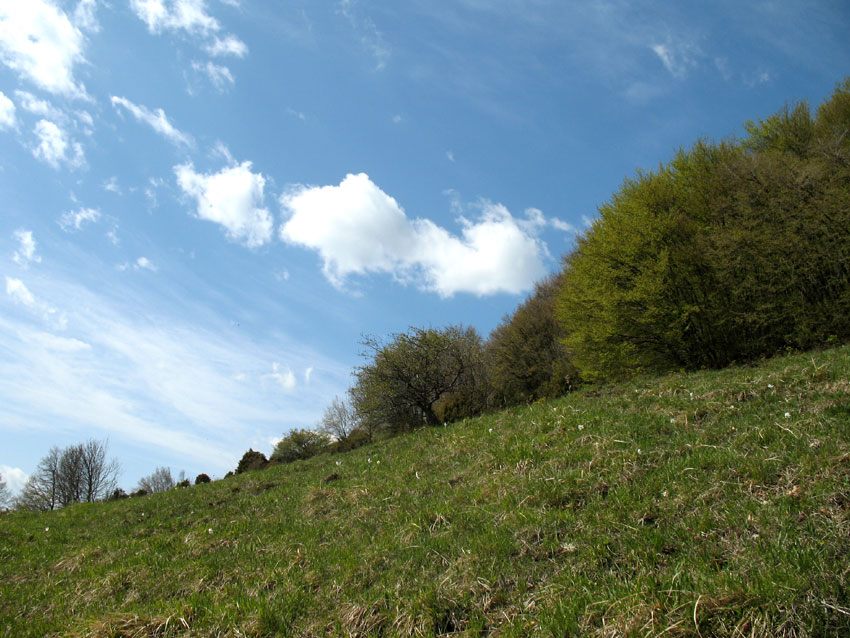 Tra cielo e terra