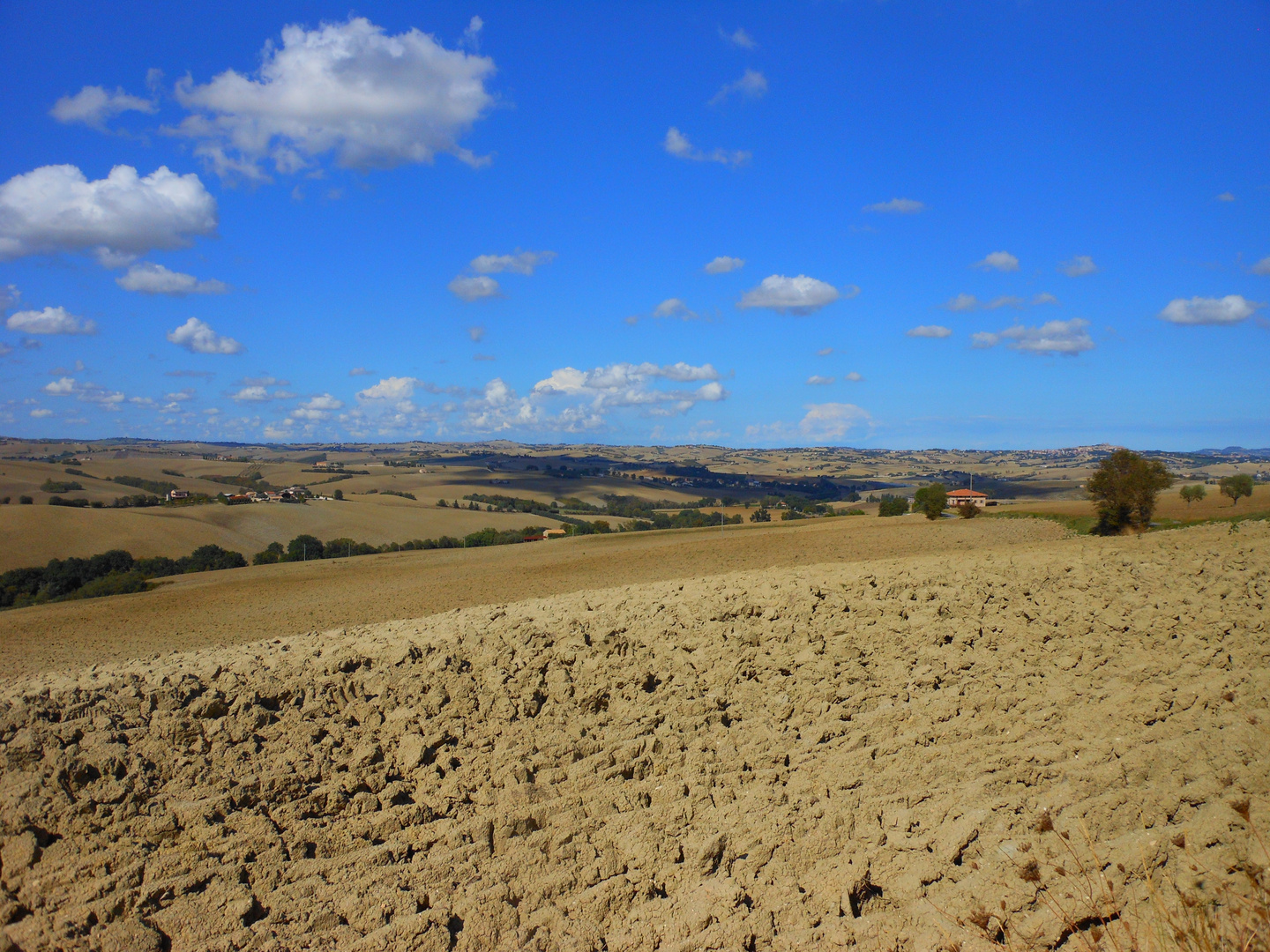 Tra Cingoli e Filottrano