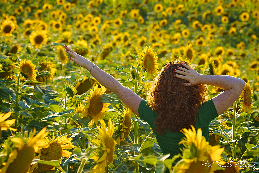 Tra Girasoli