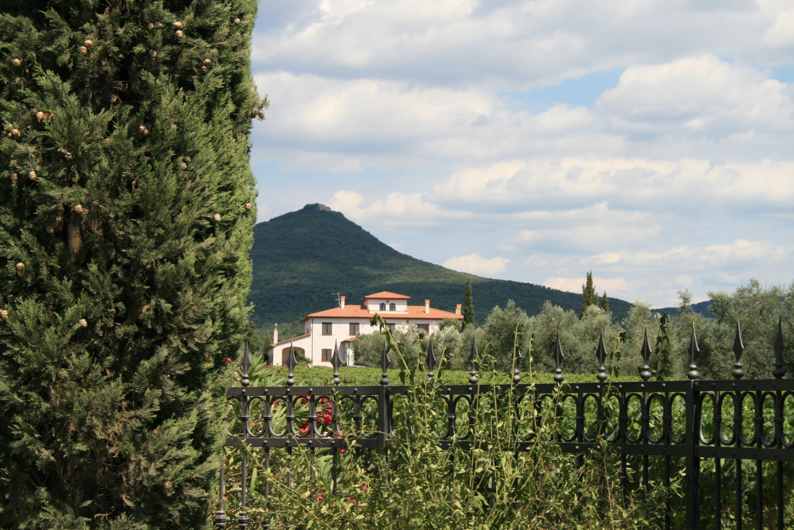 "Tra gli ulivi" im Norden der toskanischen Maremma ist von Olivenhainen und Weinbergen umgeben...